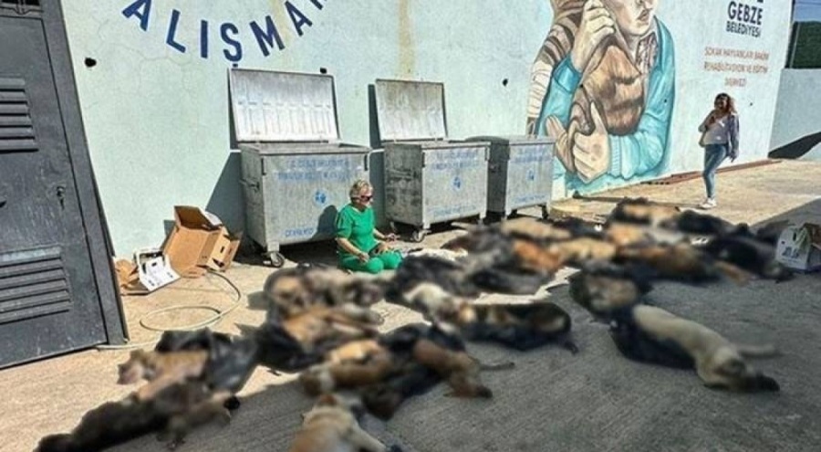 Gebze Belediye Başkanı Zinnur Büyükgöz'den suç duyurusu!