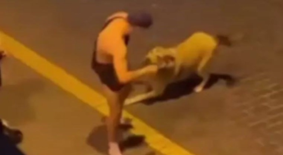 Köpeğe tecavüz etmeye çalıştı! Skandal görüntülerin ardından tutuklandı