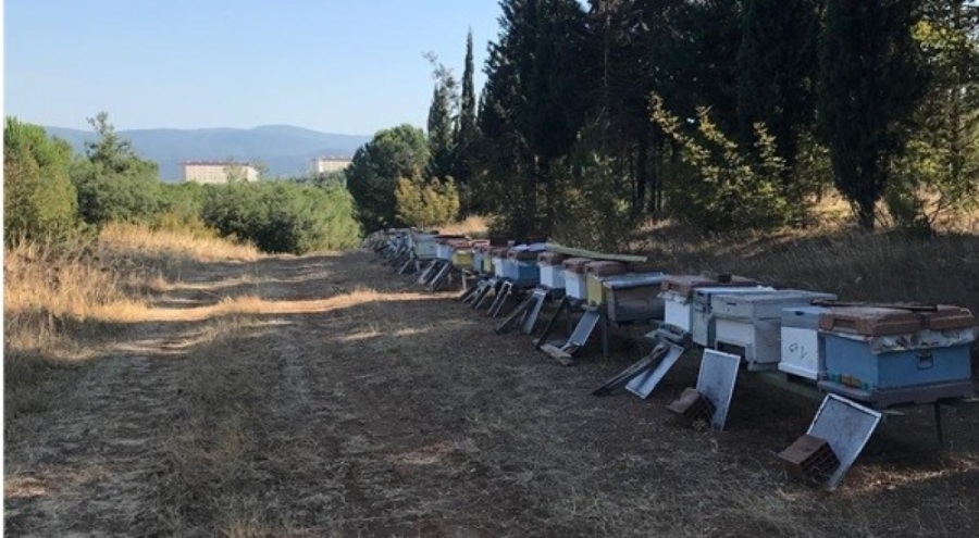 BUÜ'nün zarar gören arı kovanları üretici desteğiyle yenilendi