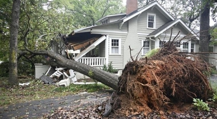 10 yıldır kayıp olan alyans kasırga sonrası bulundu