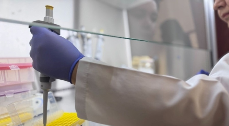 Domuz eti, tağşiş zeytinyağı, sahte bal: İfşa edilen gıdalar burada inceleniyor!