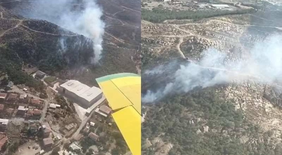 İzmir Foça'da orman yangını çıktı