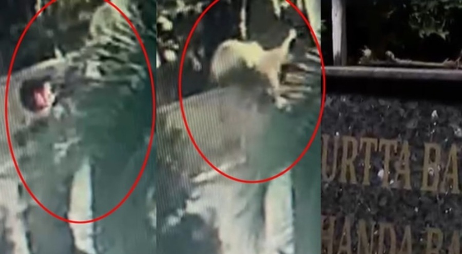 Önce çevreye sonra Atatürk büstüne saldırdı!