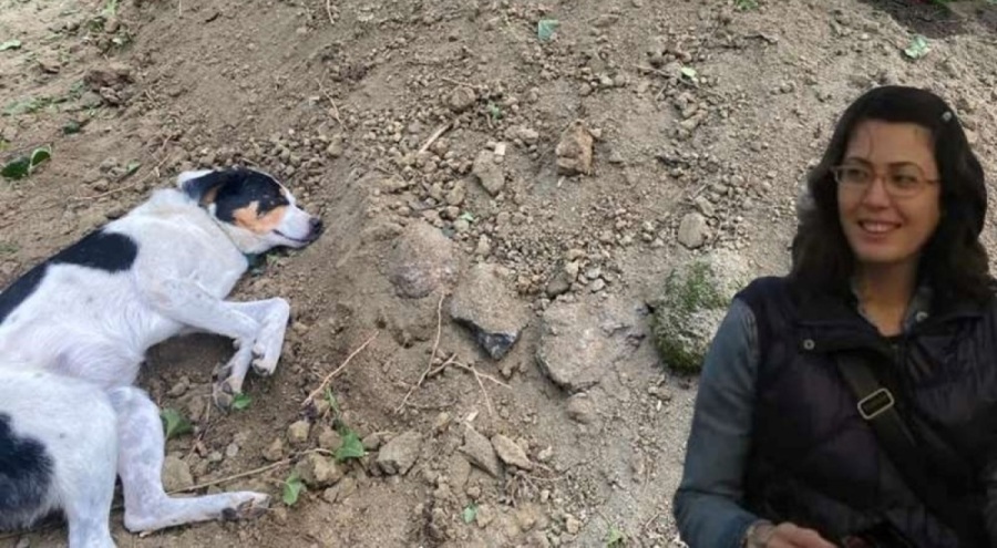 Teo, sahibinin mezarının başından ayrılmadı