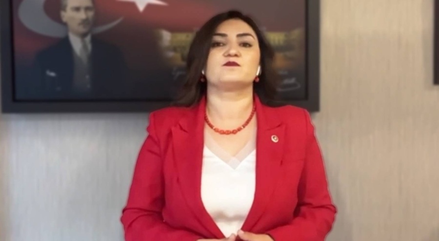 CHP İzmir Milletvekili Sevda Erdan Kılıç: Kimse kusura bakmasın biz susmayacağız