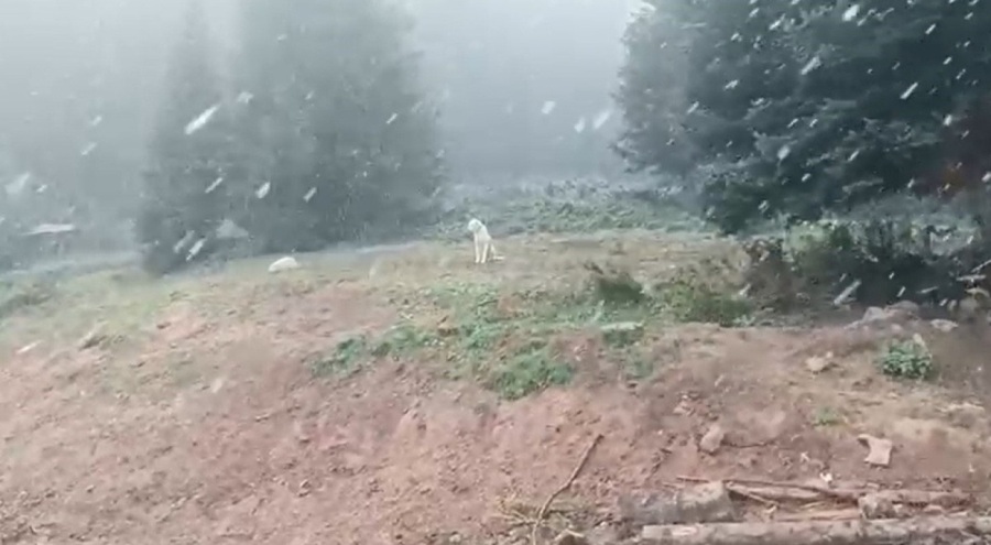 Ilgaz Dağı'nda yağış başladı