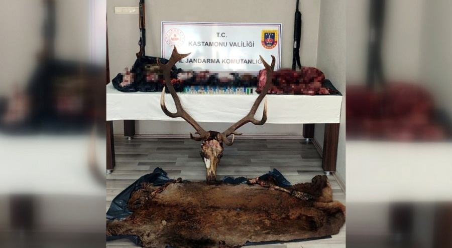 Yasa dışı geyik avcılarına 443 bin 426 TL ceza kesildi