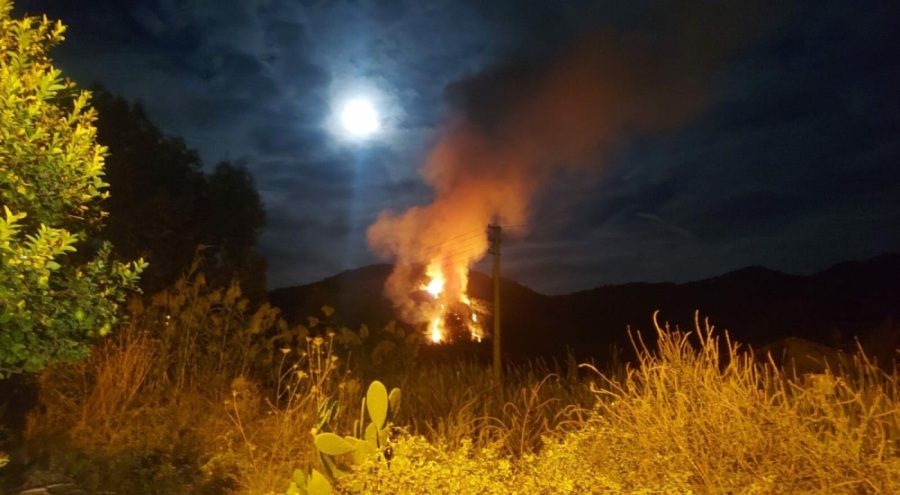 Muğla'da orman yangını meydana geldi!