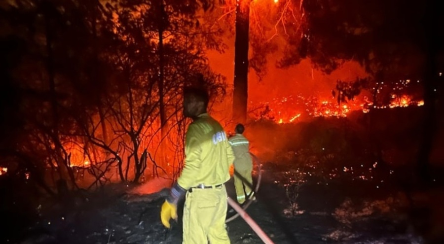 Mersin'de orman yangını!