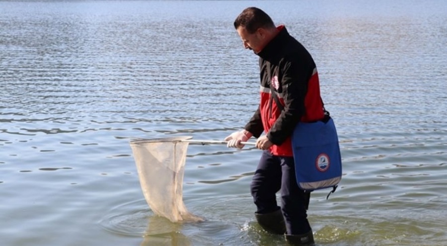 Baraj gölünde balık ölümleri! Uzman ekip gönderildi