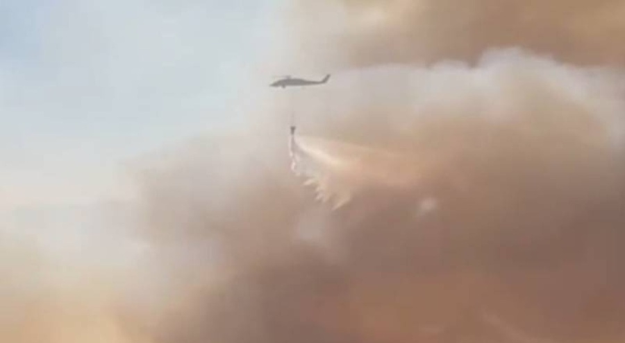 Muğla'da orman yangınları: 2 ilçede müdahale sürüyor