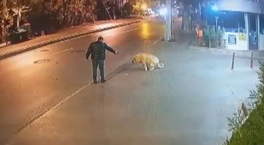 Köpeğe silah doğrultan şüpheliyle ilgili yeni gelişme