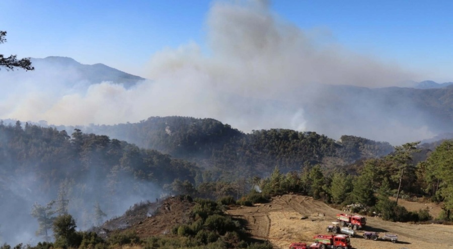 Muğla'nın 2 ilçesinde orman yangınlarına müdahale sürüyor