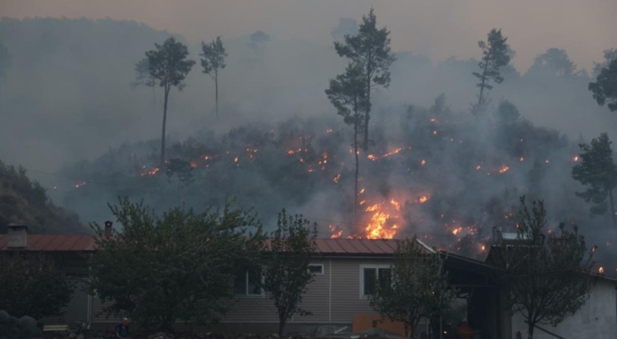 Muğla'da orman yangını