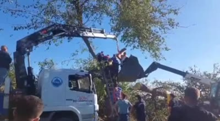 Kestiği ağacın altında kalan kişi hayatını kaybetti