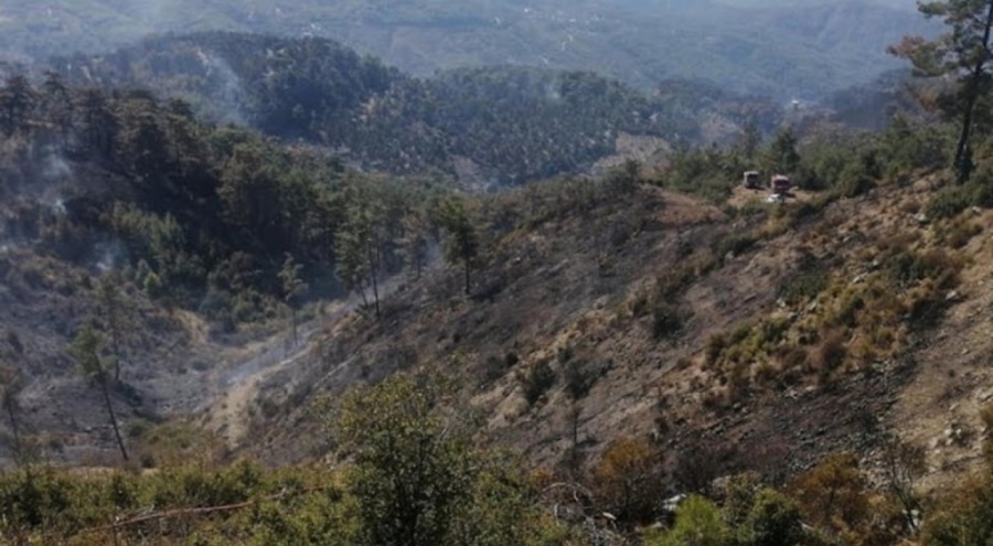 Muğla üç gündür yanıyor! Yangının nedeni belli oldu