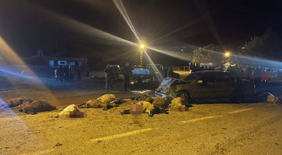 Otomobilin çarptığı sürüdeki 17 koyun telef oldu, 6 kişi yaralandı