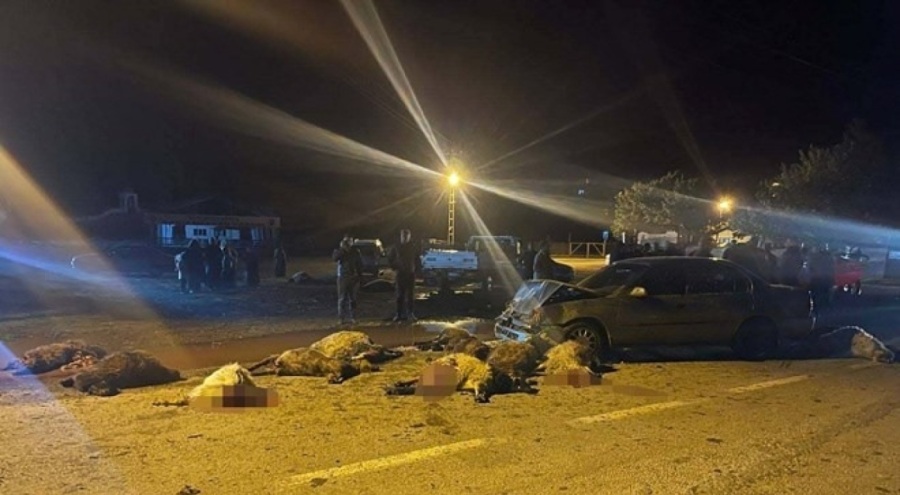 Otomobil sürüye çarptı: 17 koyun telef oldu, 6 kişi yaralandı
