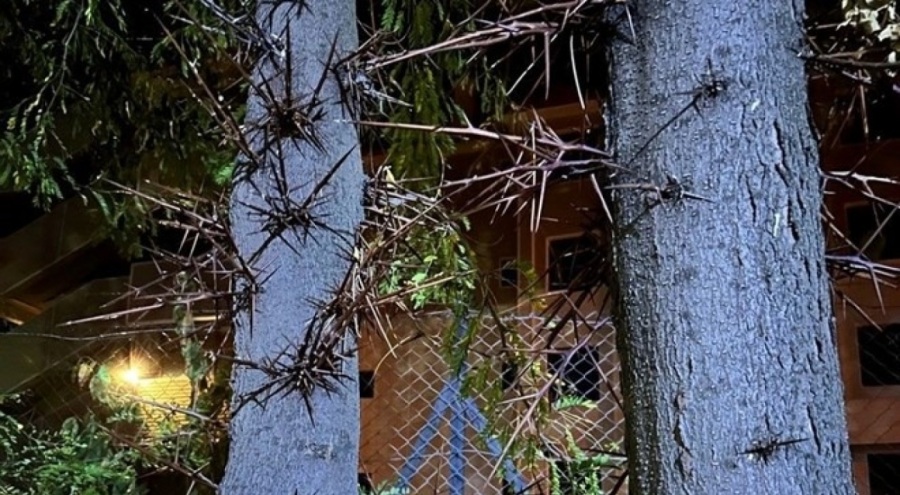 Sırtına diken batan genç yaralandı