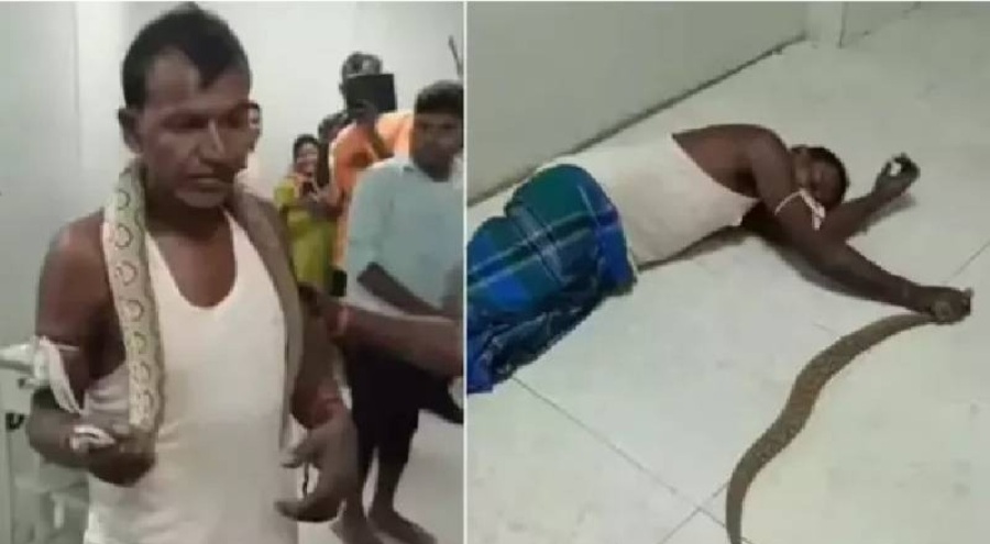 Kendisini ısıran yılanı boynuna dolayıp hastaneye gitti