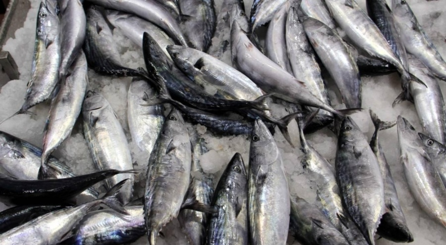 Hava koşulları balık fiyatlarını artırdı