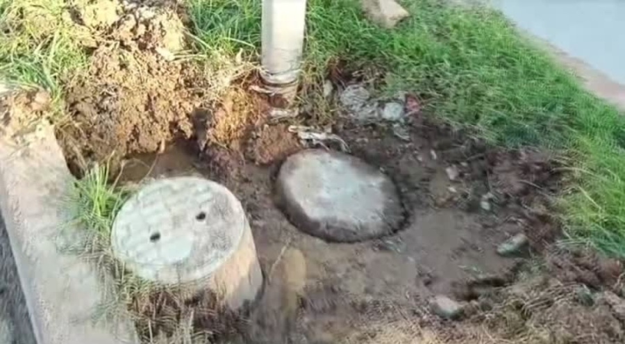 Elektrik akımına kapılan köpek öldü