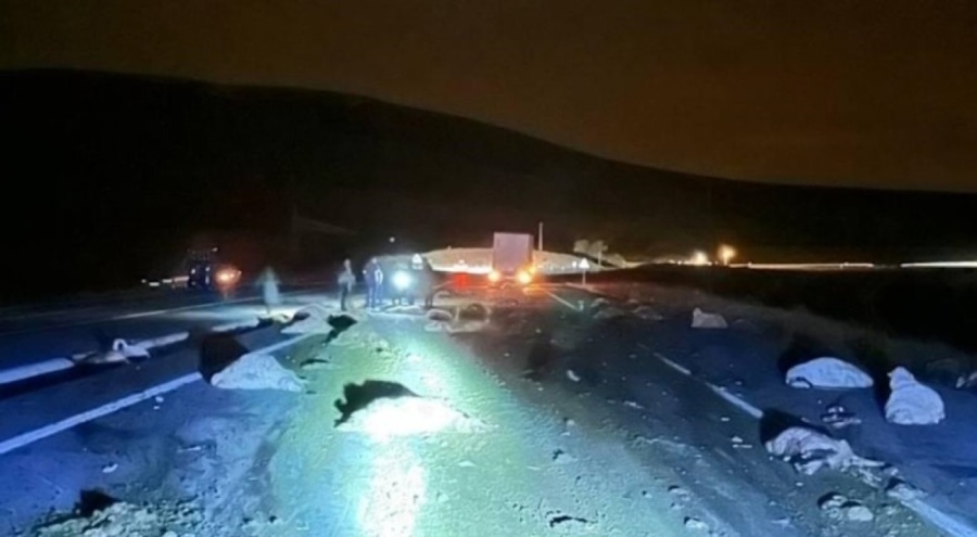 TIR sürüye çarptı, 74 küçükbaş hayvan telef oldu