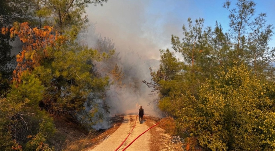 Osmaniye'de orman yangını!
