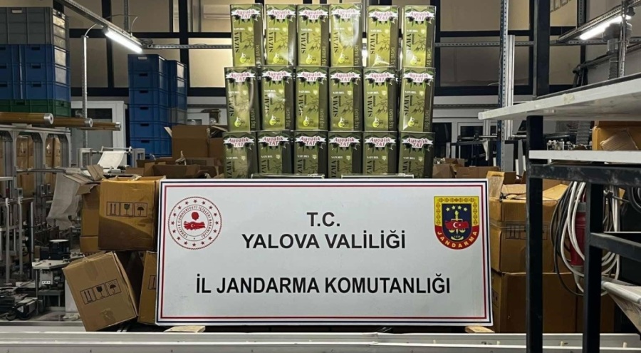 33 bin litre sahte zeytinyağı ele geçirildi