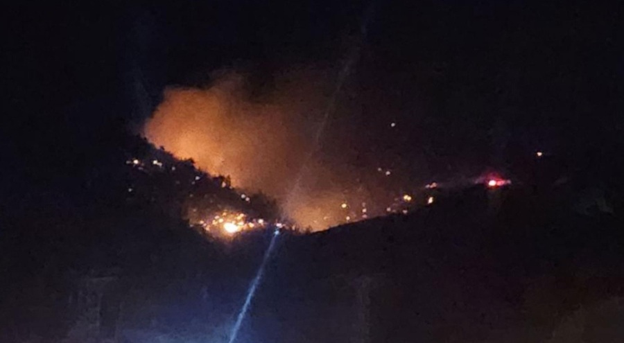 Kahramanmaraş'ta orman yangını meydana geldi