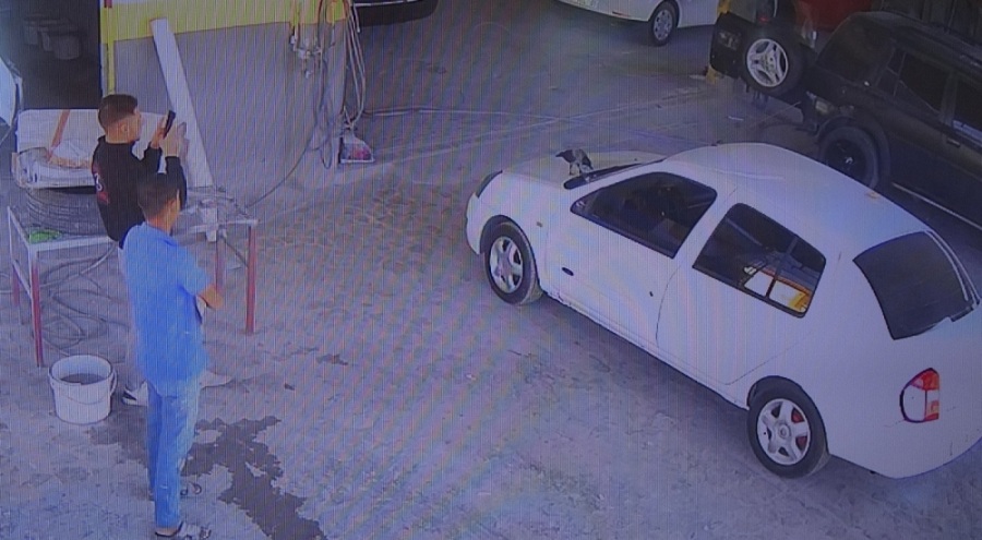 Mersin'de bir karga otomobil anahtarını çaldı