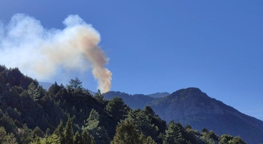 Denizli'de orman yangını!