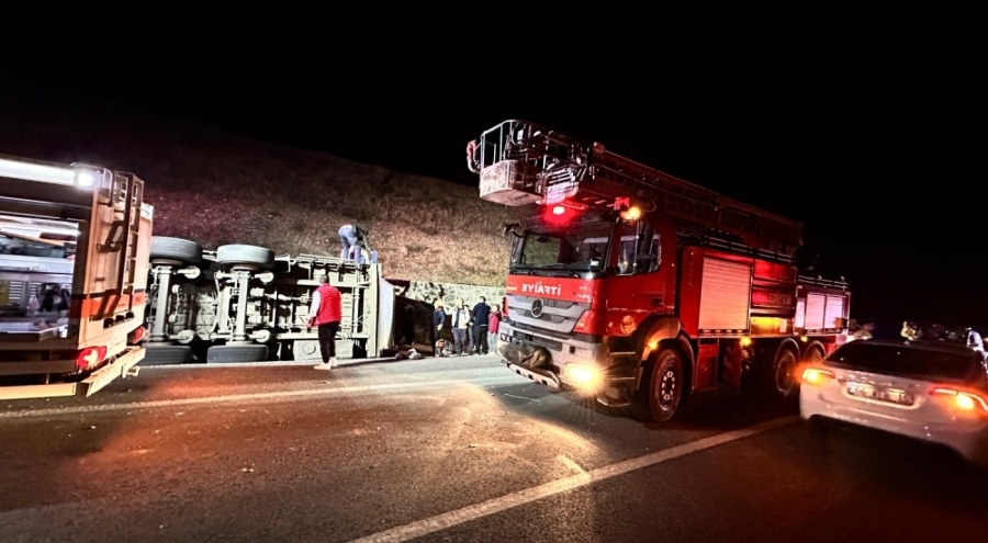 Devrilen TIR'daki 50 küçükbaş öldü