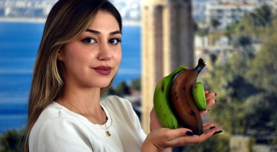 Alanya muzuna yeni türler eklendi
