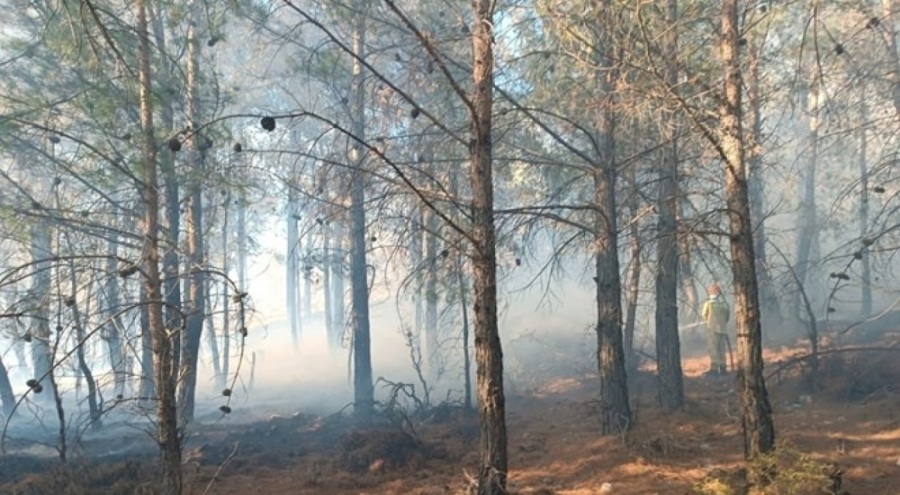 Ormanlık alana sıçrayan yangın kontrol altına alındı