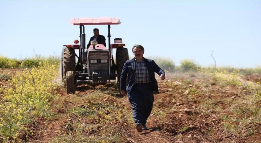 Bakanlık duyurdu: Çiftçiye 149 milyon para dağıtılıyor