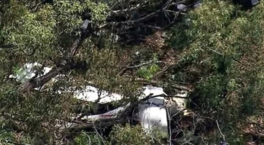 Uçaklar havada çarpışarak ormana düştü