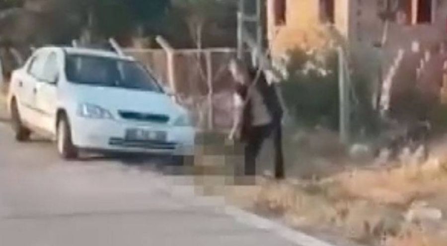 "Devlet kanun çıkardı köpekleri öldürmek için" diyerek dirgenle yavru köpeklerin canına kıyan sanığa tahliye!