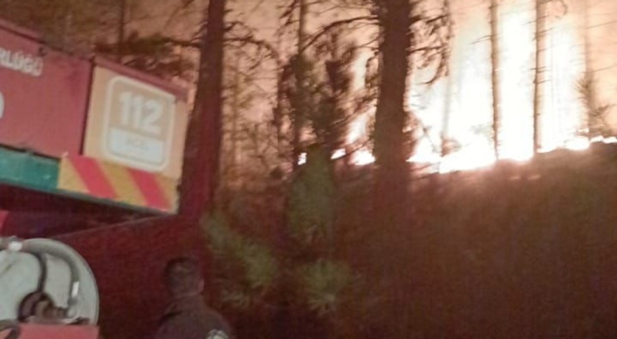 Kütahya'da orman yangını çıktı!