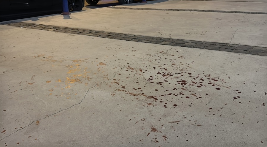 Sokakta tartıştığı kişiyi boğazından ve karnından bıçakladı