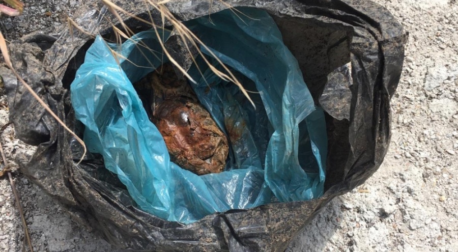 Ormanda el bombasıyla dolu çanta bulundu!