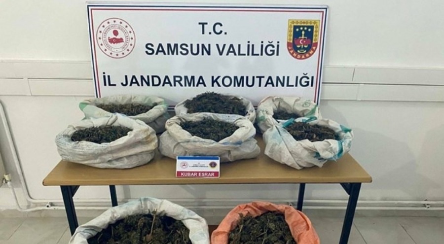 Ormanlık alanda 8,5 kilo esrar ele geçirildi