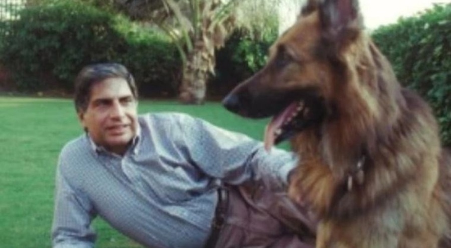 Servetini köpeğine bıraktı!