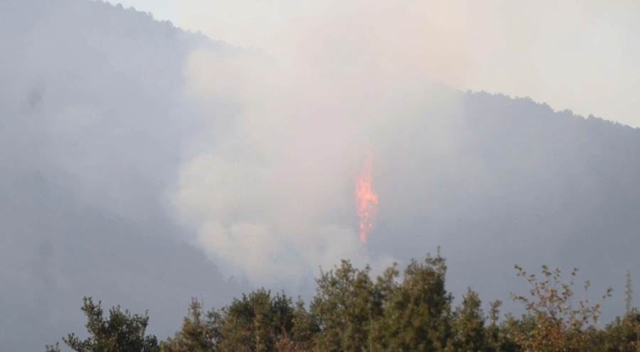 Denizli'deki orman yangını kontrol altına alındı