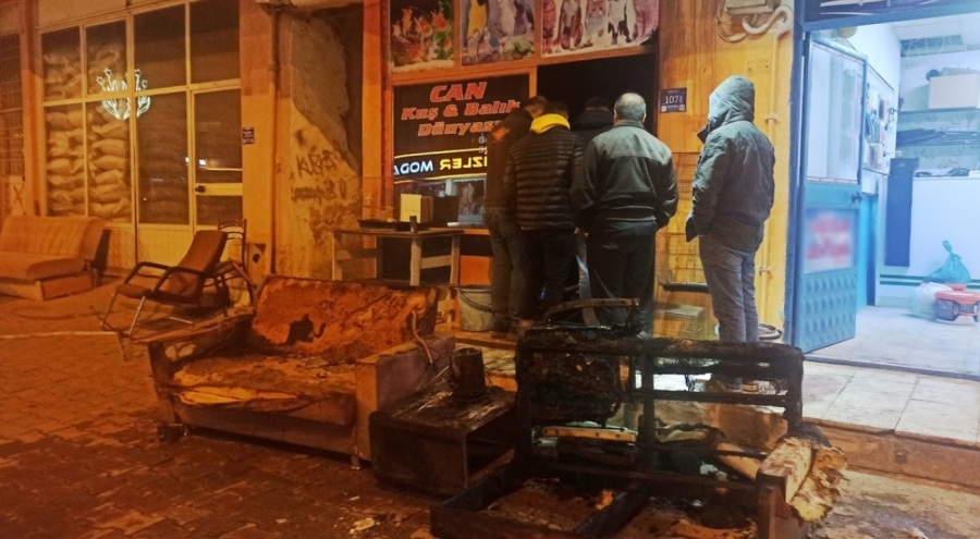 Pet shop yangınında kuş ve balıklar öldü, iş yeri sahibi yaralandı!