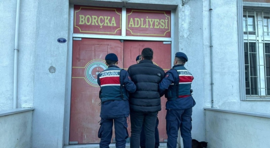 Ormanda izinsiz kesim yapan kooperatif başkanına gözaltı