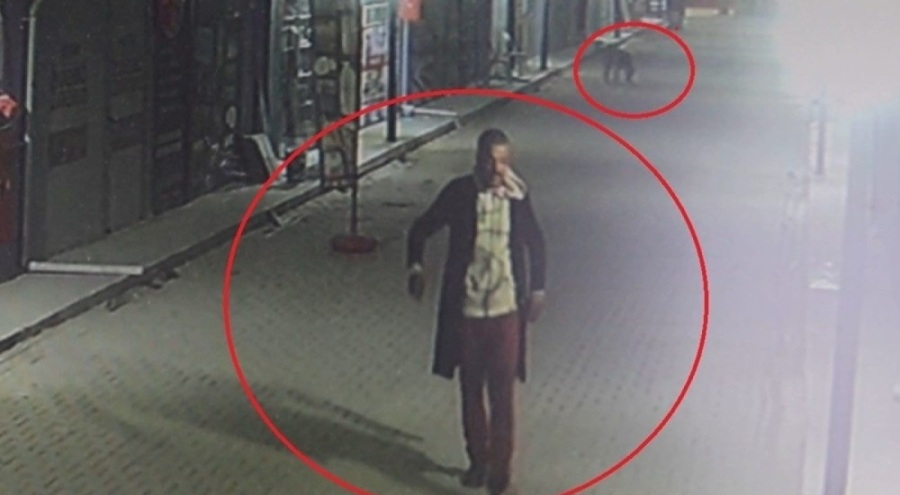 Vahşet! Kedileri köpeklere parçalatan kişi gözaltına alındı