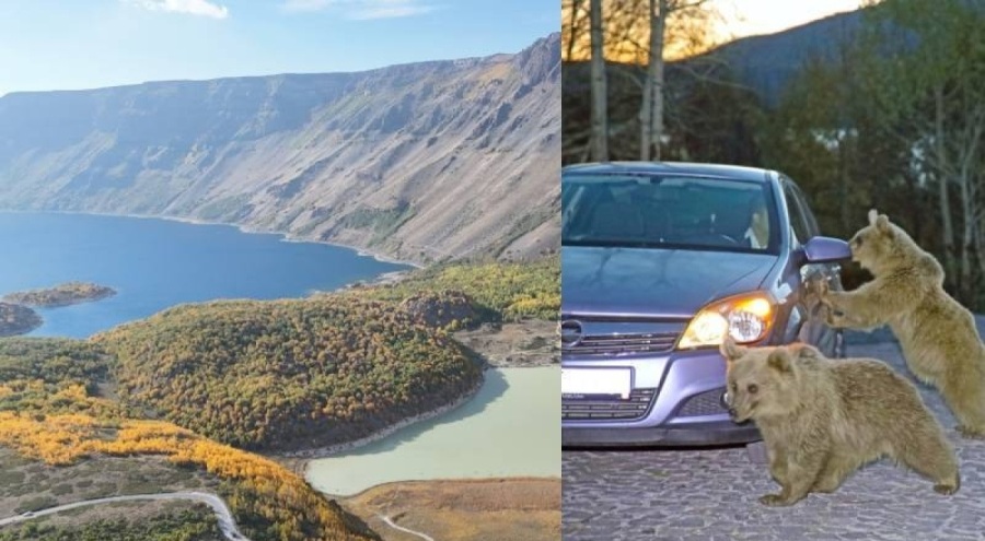 İngiliz bir turist ayıların saldırısına uğramıştı: Nemrut Krater Gölü ziyaretçilere kapatıldı