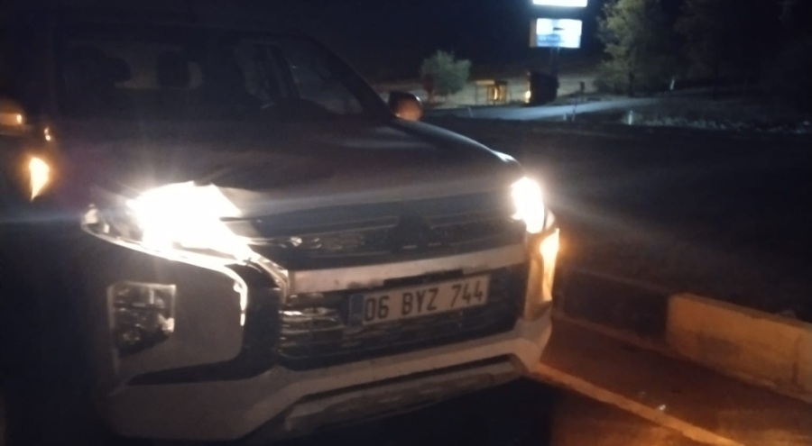 Kamyonetin çarptığı yaya öldü