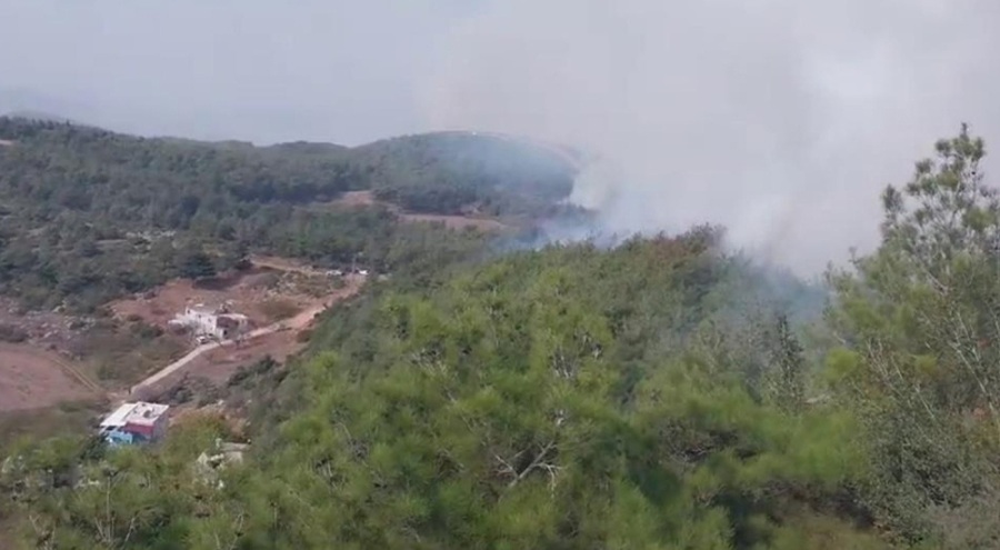 Hatay'da orman yangını